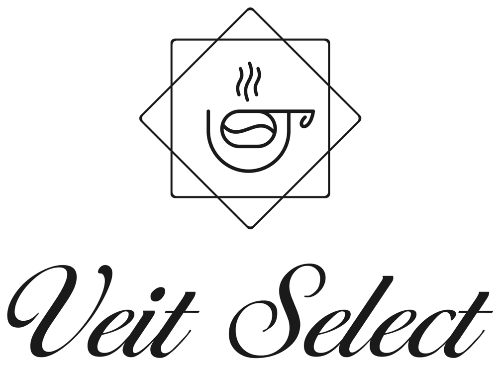 3D Logo Leon Veit