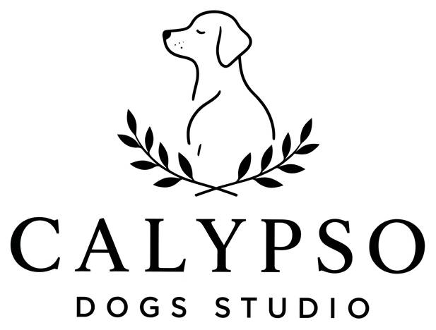 3D Logo Senem Calypso Dogs Studio