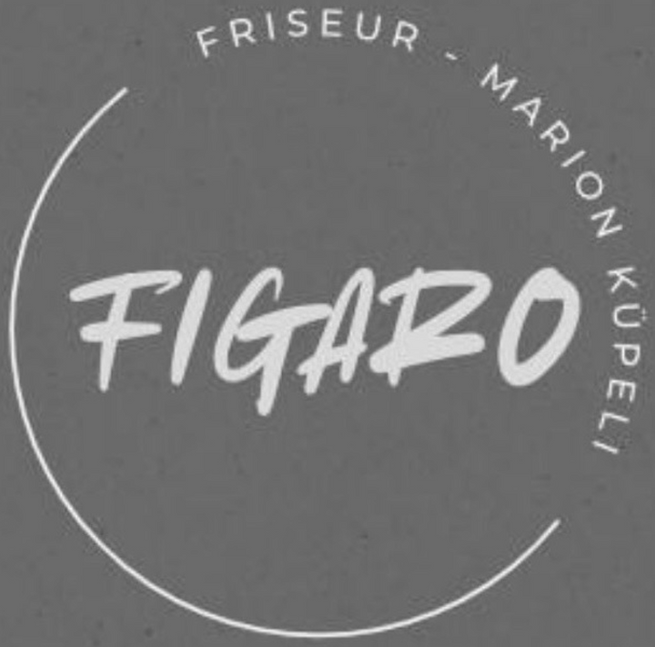 3D Logo Marion Friseur Figaro