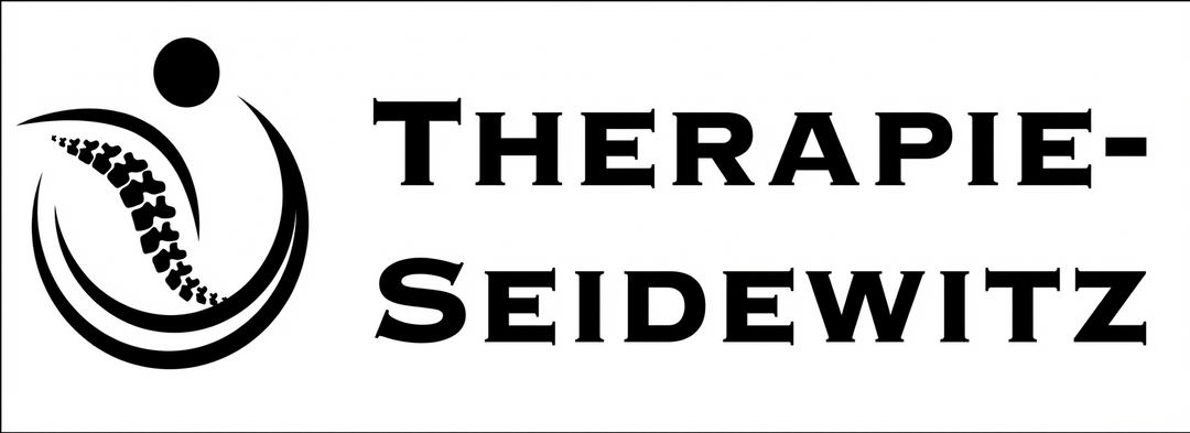 3D Logo Seidewitz