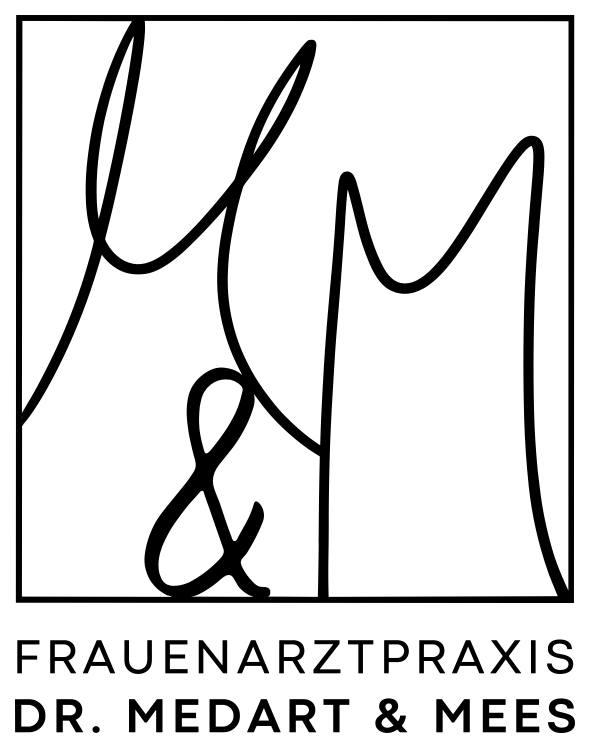 3D Logo Lisa Mees