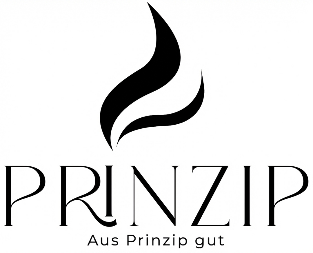 3D Logo Stefan Prinzip