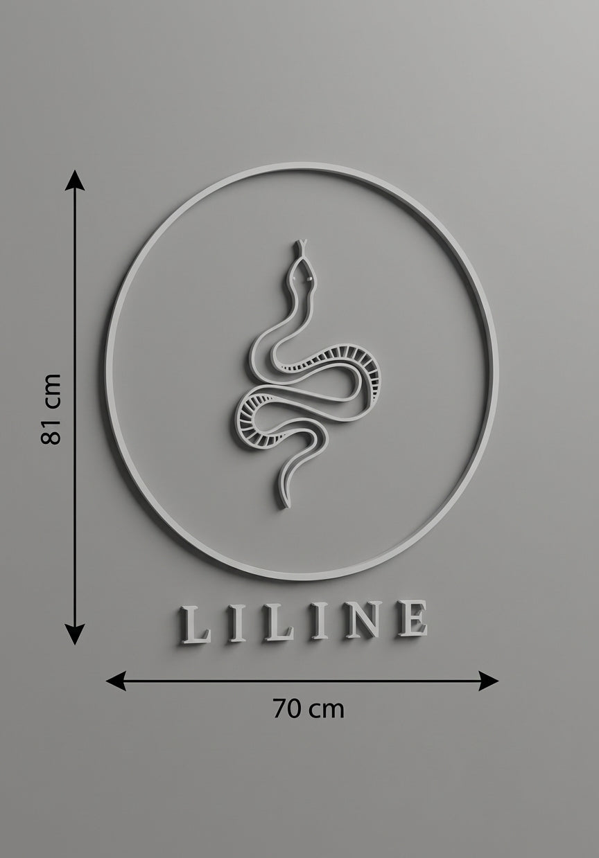 3D Logo Lisa