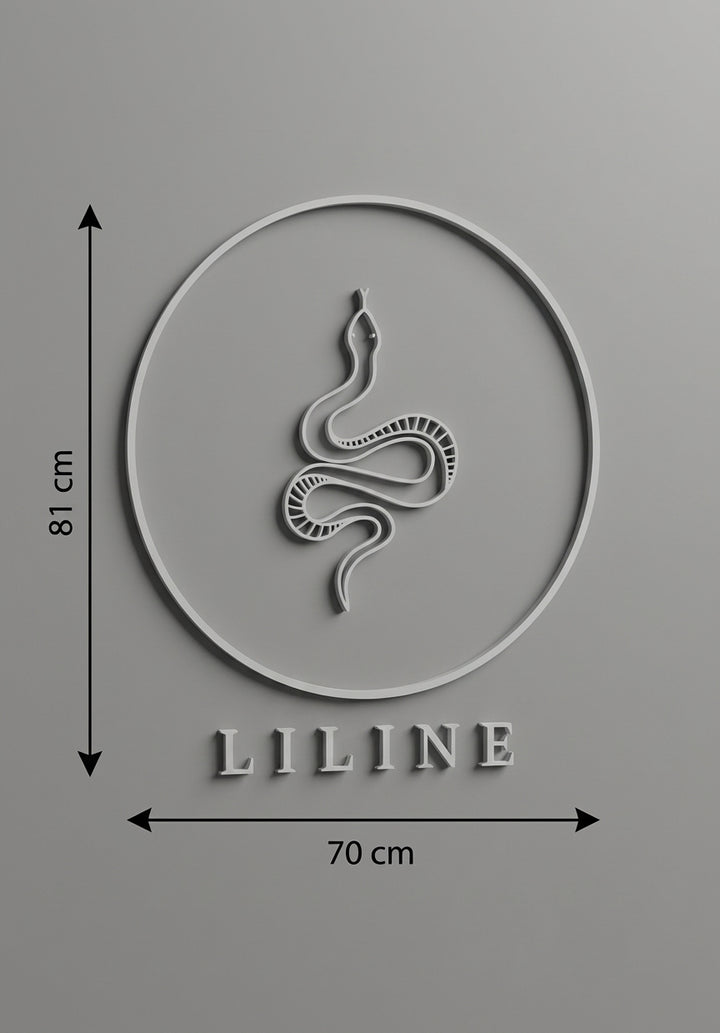 3D Logo Lisa