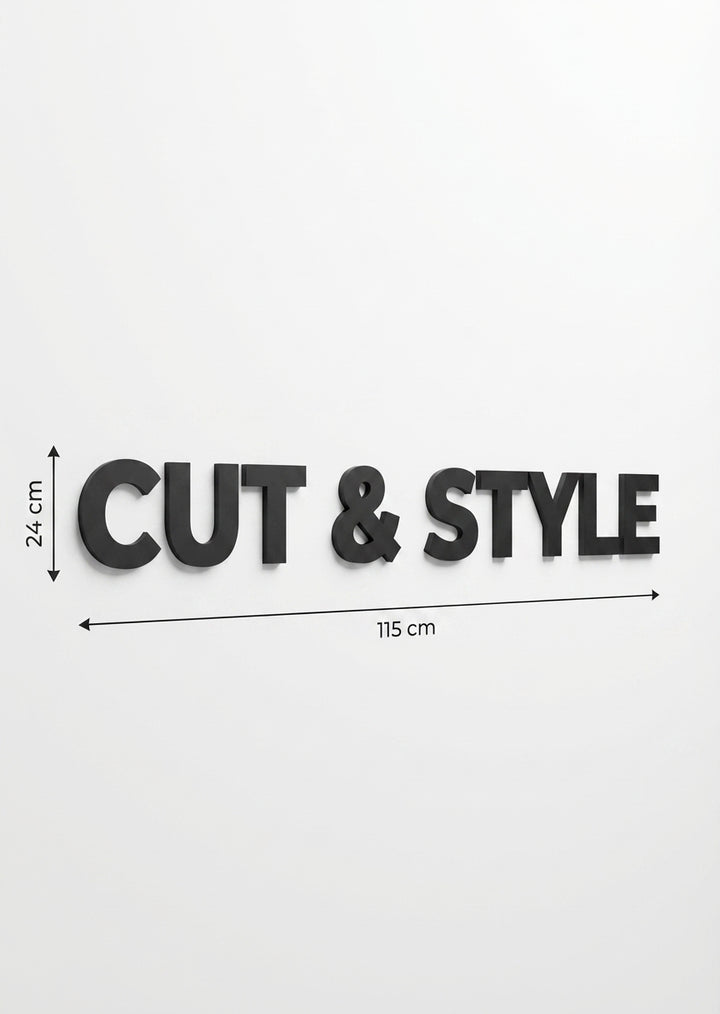 3D Logo Shanny stal1908@gmail.com
