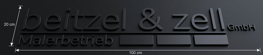 3D Logo tziands