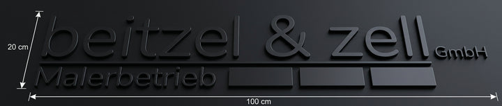 3D Logo tziands