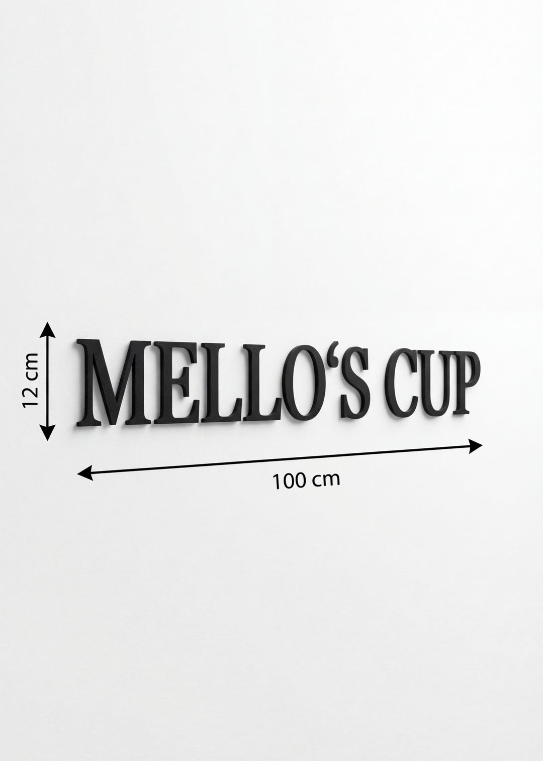 3D Logo Tino Test