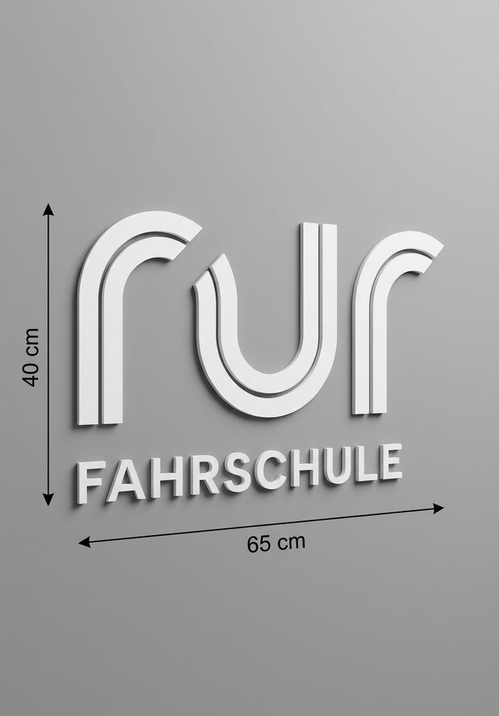 3D Logo Nicole Fahrschule