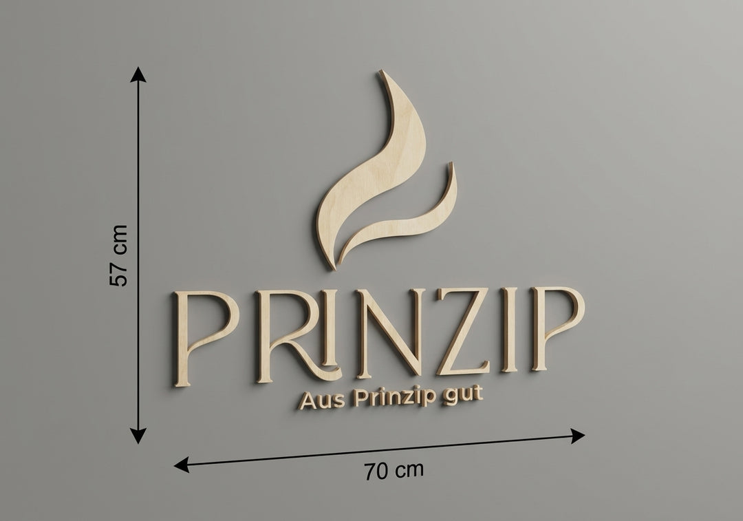 3D Logo Stefan Prinzip