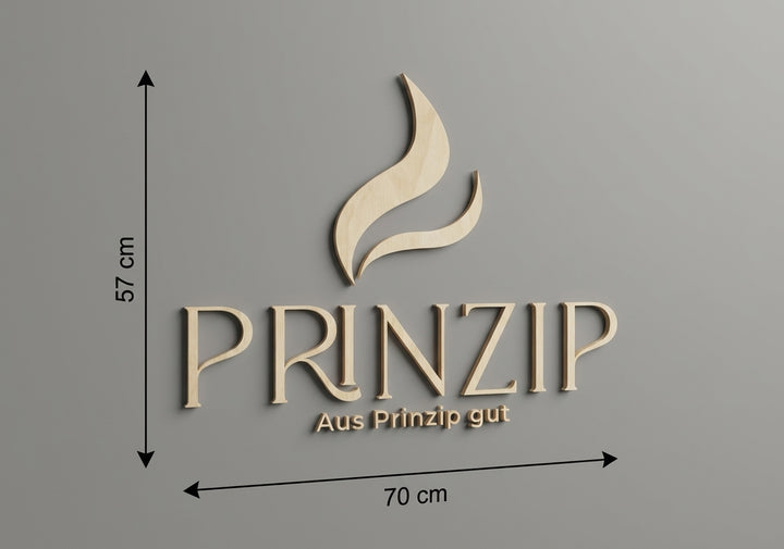 3D Logo Stefan Prinzip
