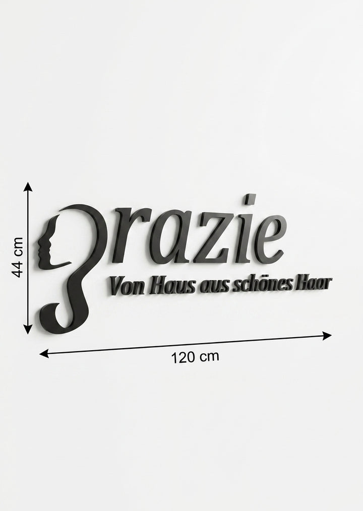 3D Logo Lisa lisa.graz@hotmail.de
