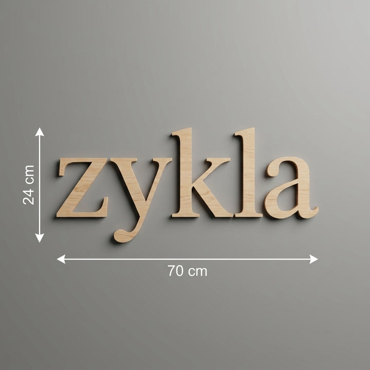 3D Logo Lena zykla