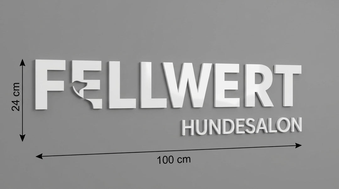 3D Logo Lisa