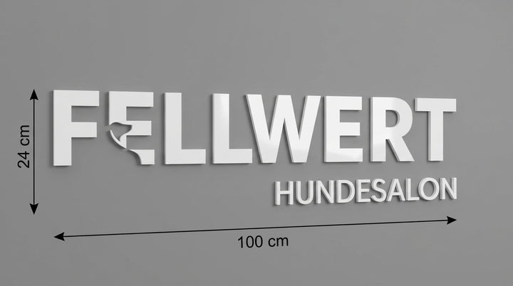 3D Logo Lisa