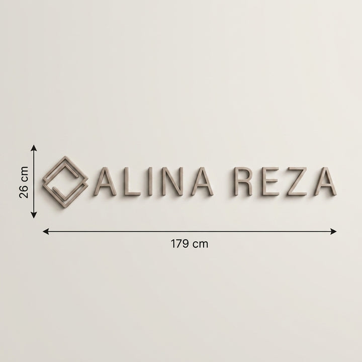 3D Logo Alina