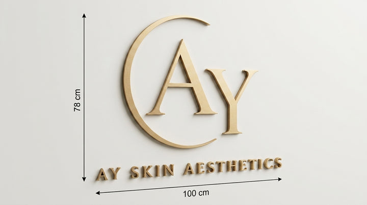 3D Logo Aylin