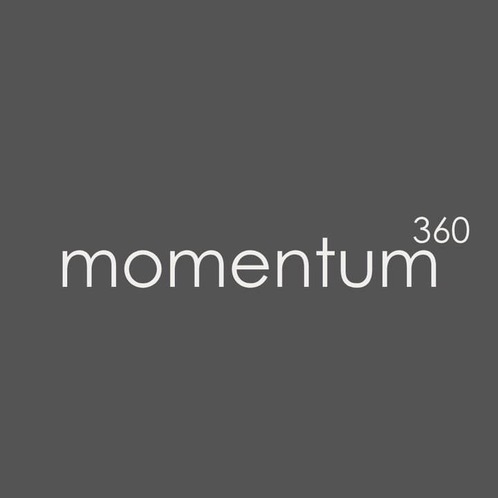 3D Logo momentum360